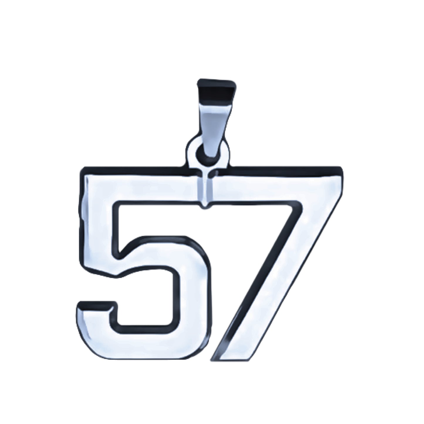 Pro Number Pendant - Stainless Steel
