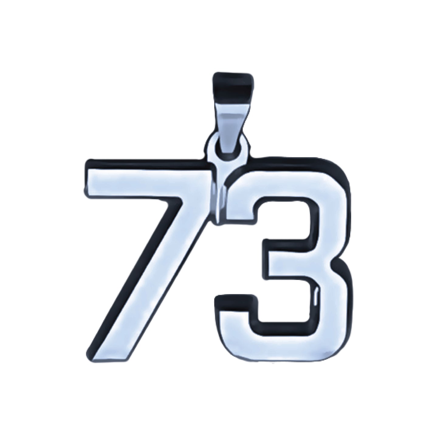 Pro Number Pendant - Stainless Steel
