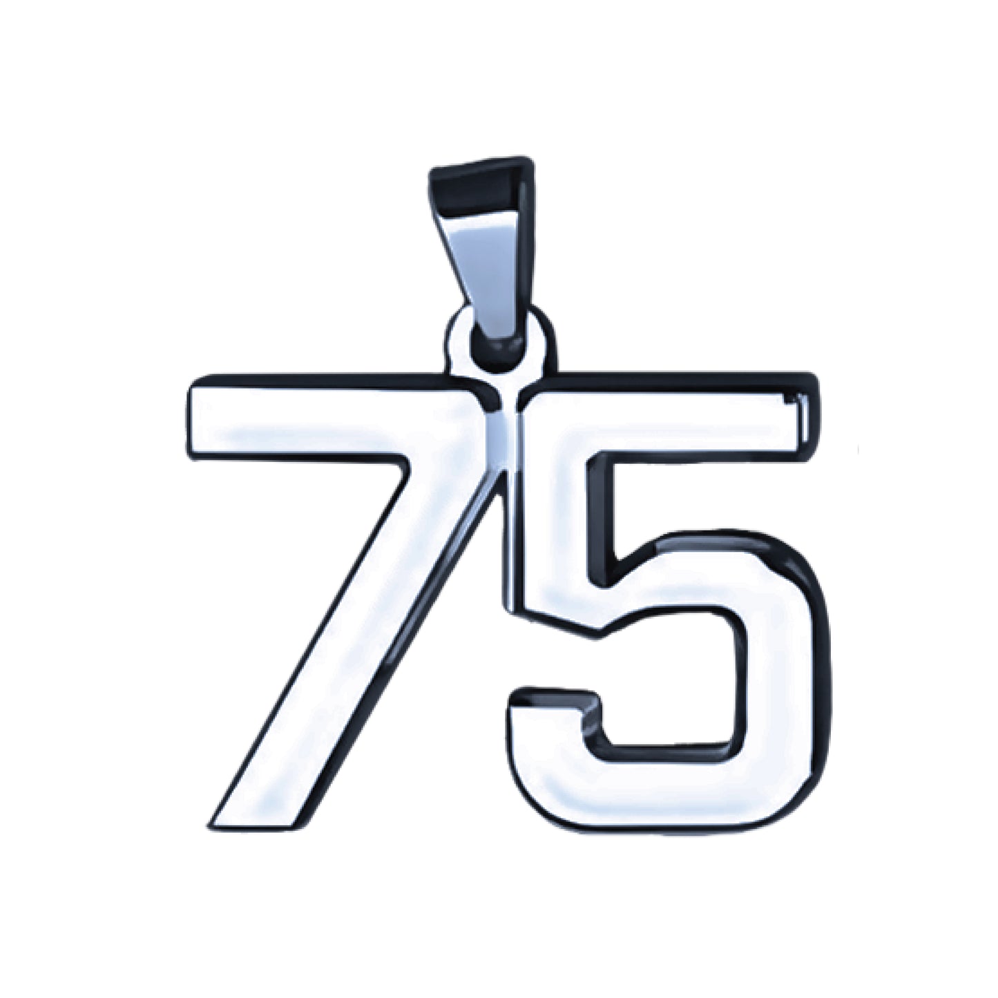 Pro Number Pendant - Stainless Steel