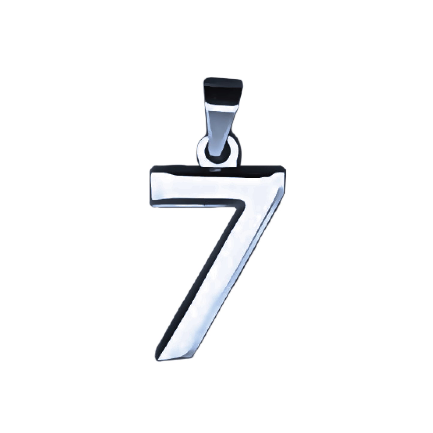 Pro Number Pendant - Stainless Steel