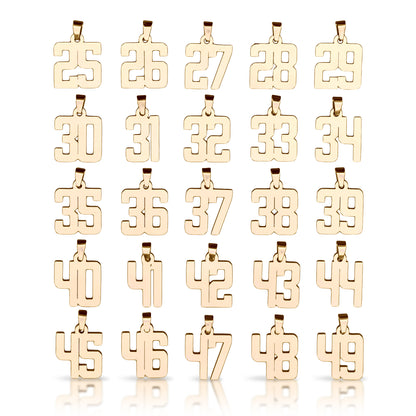 Custom Number Pendant With Chain Necklace - 14K Gold Plated Stainless Steel