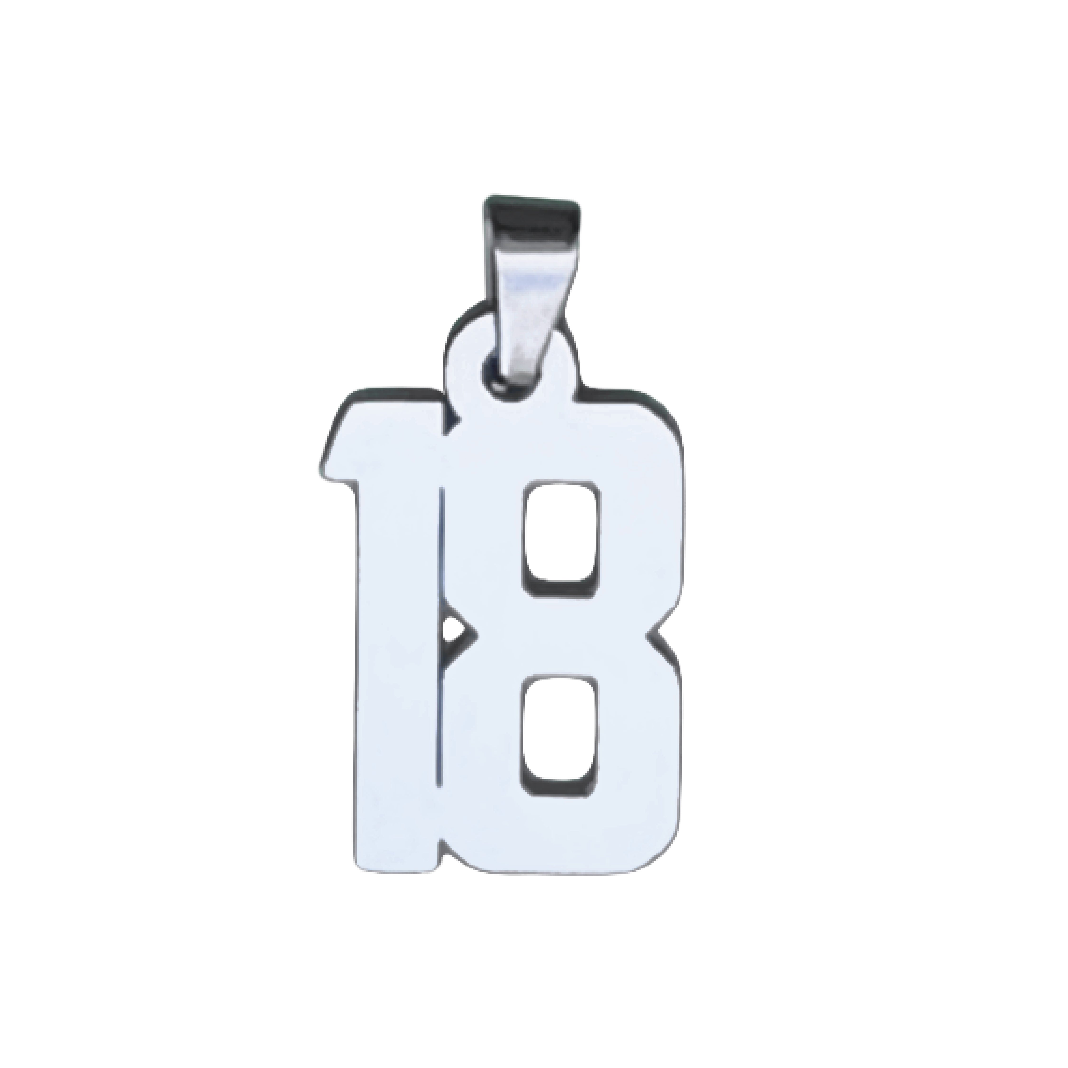 Custom Number Pendant Necklace - Stainless Steel