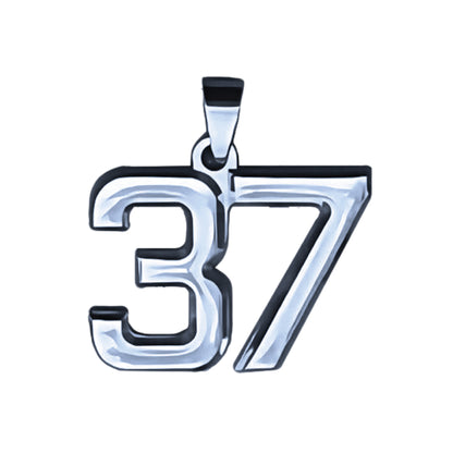 Pro Number Pendant - Stainless Steel