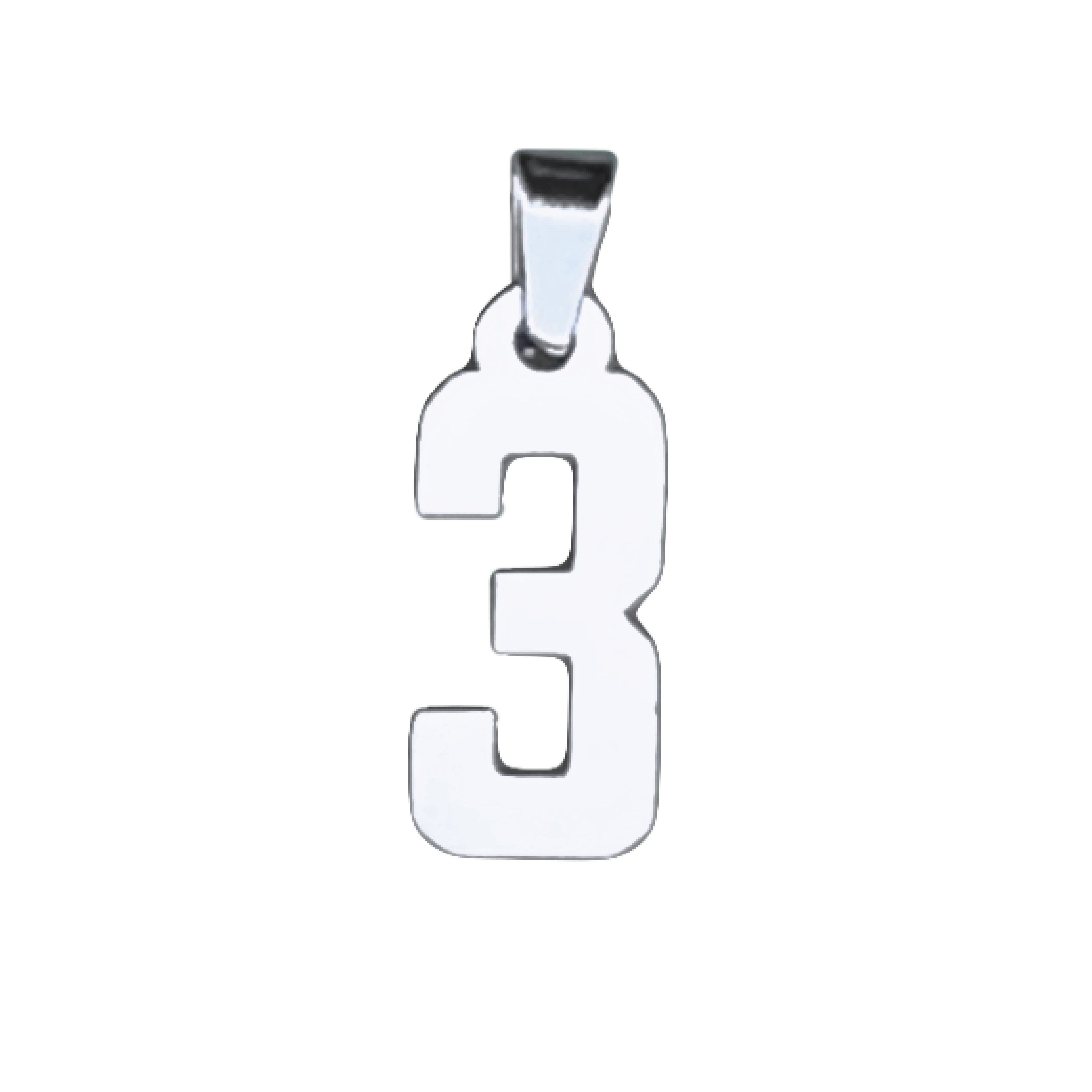 Custom Number Pendant Necklace - Stainless Steel