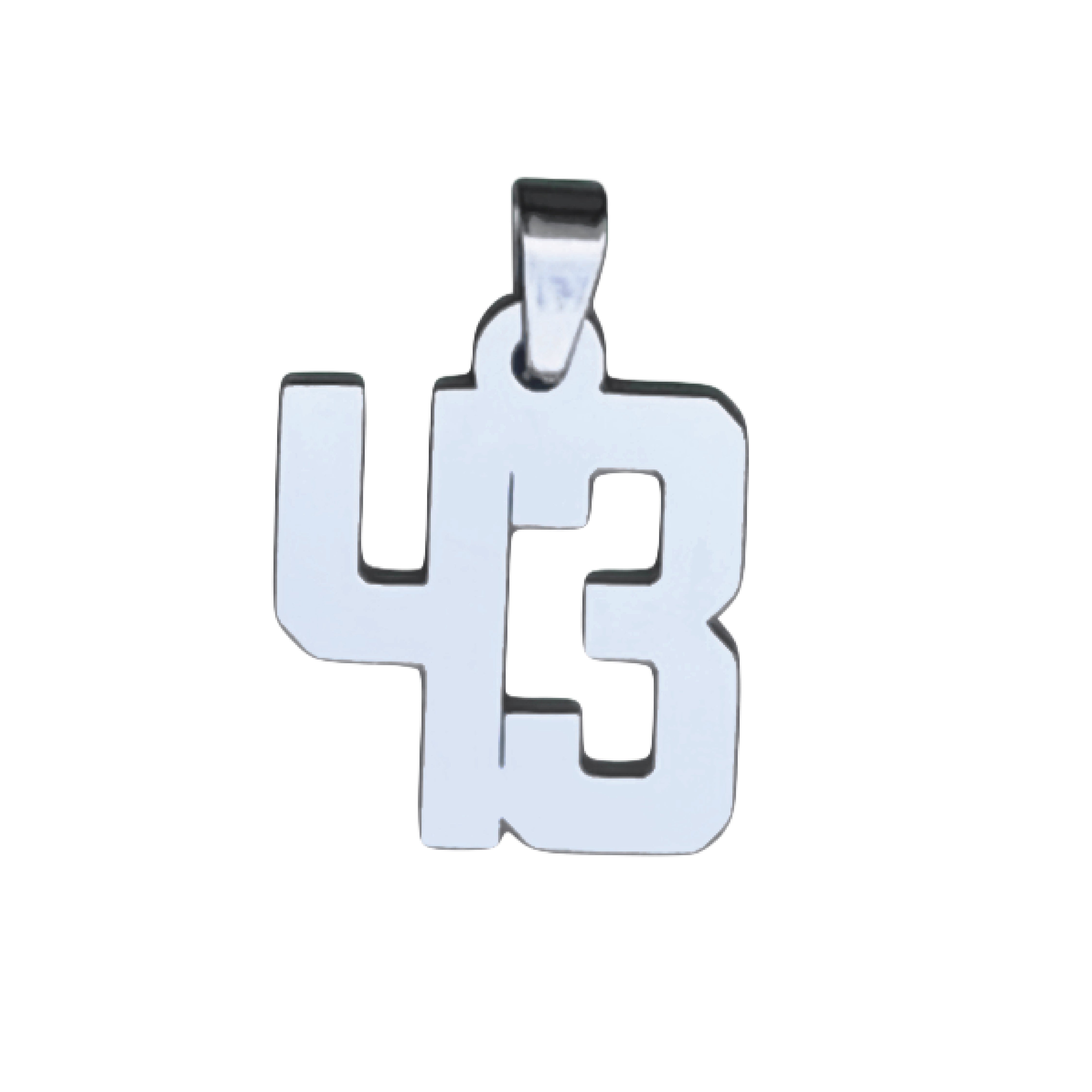 Custom Number Pendant Necklace - Stainless Steel