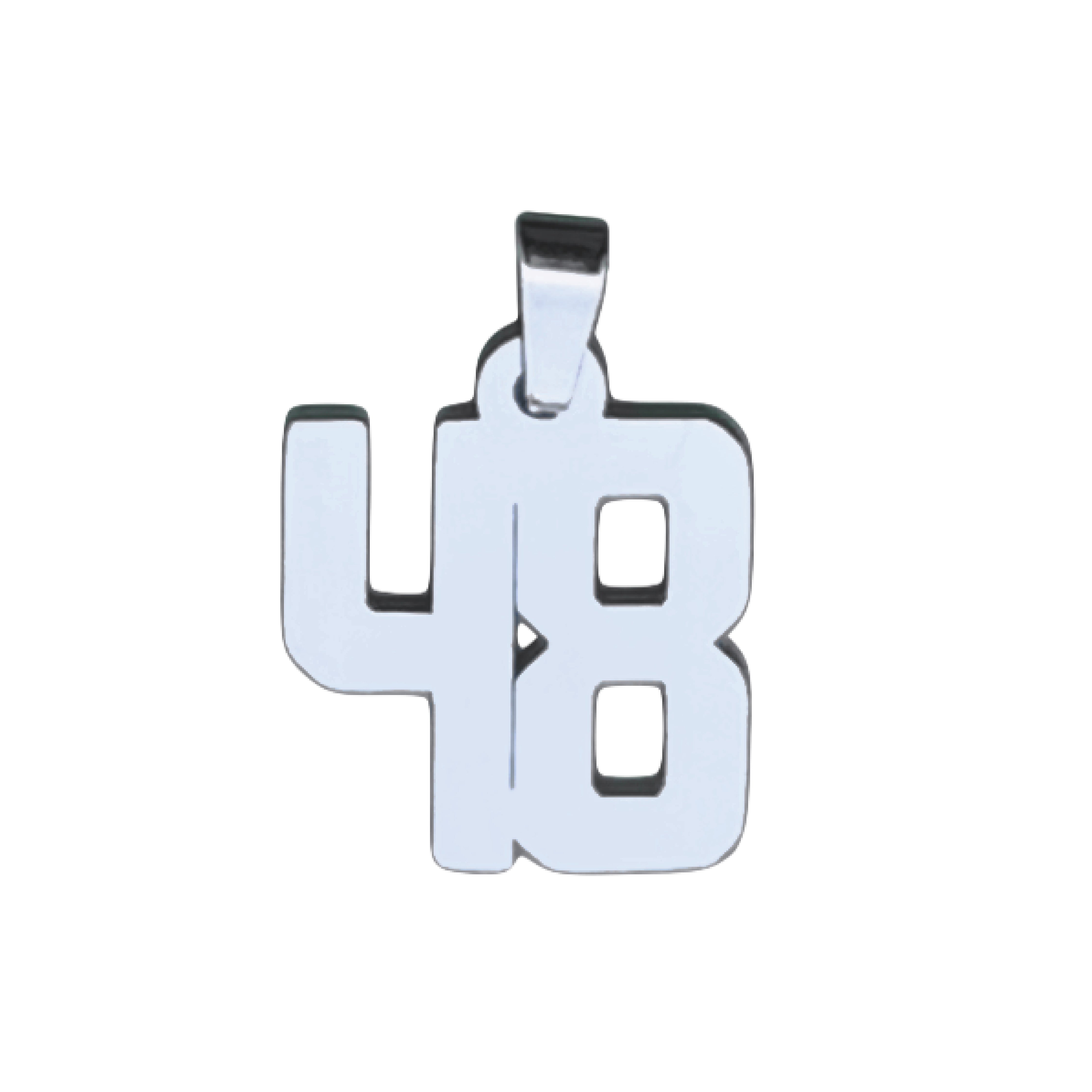 Custom Number Pendant Necklace - Stainless Steel