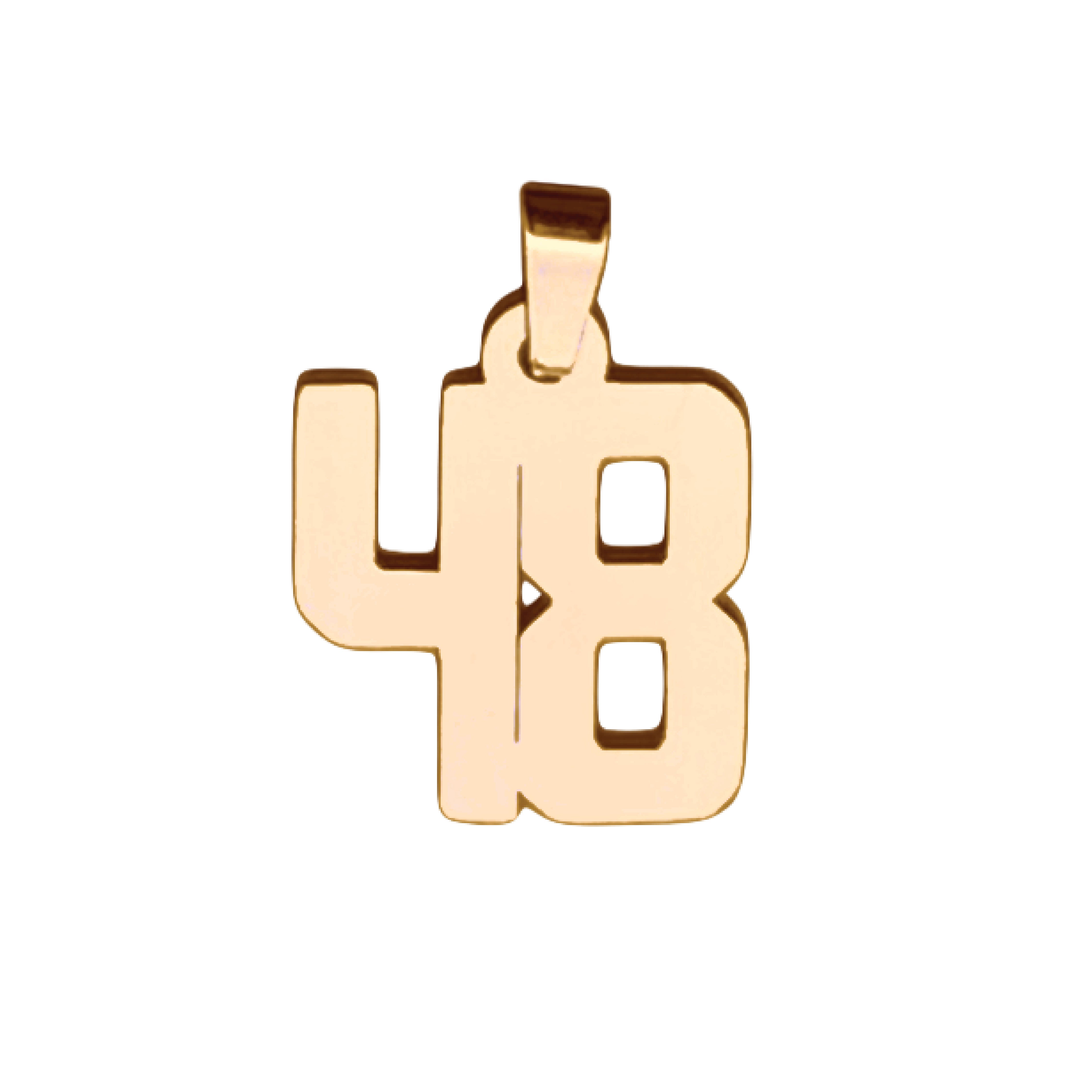Custom Number Pendant Necklace - 14K Gold Plated Stainless Steel