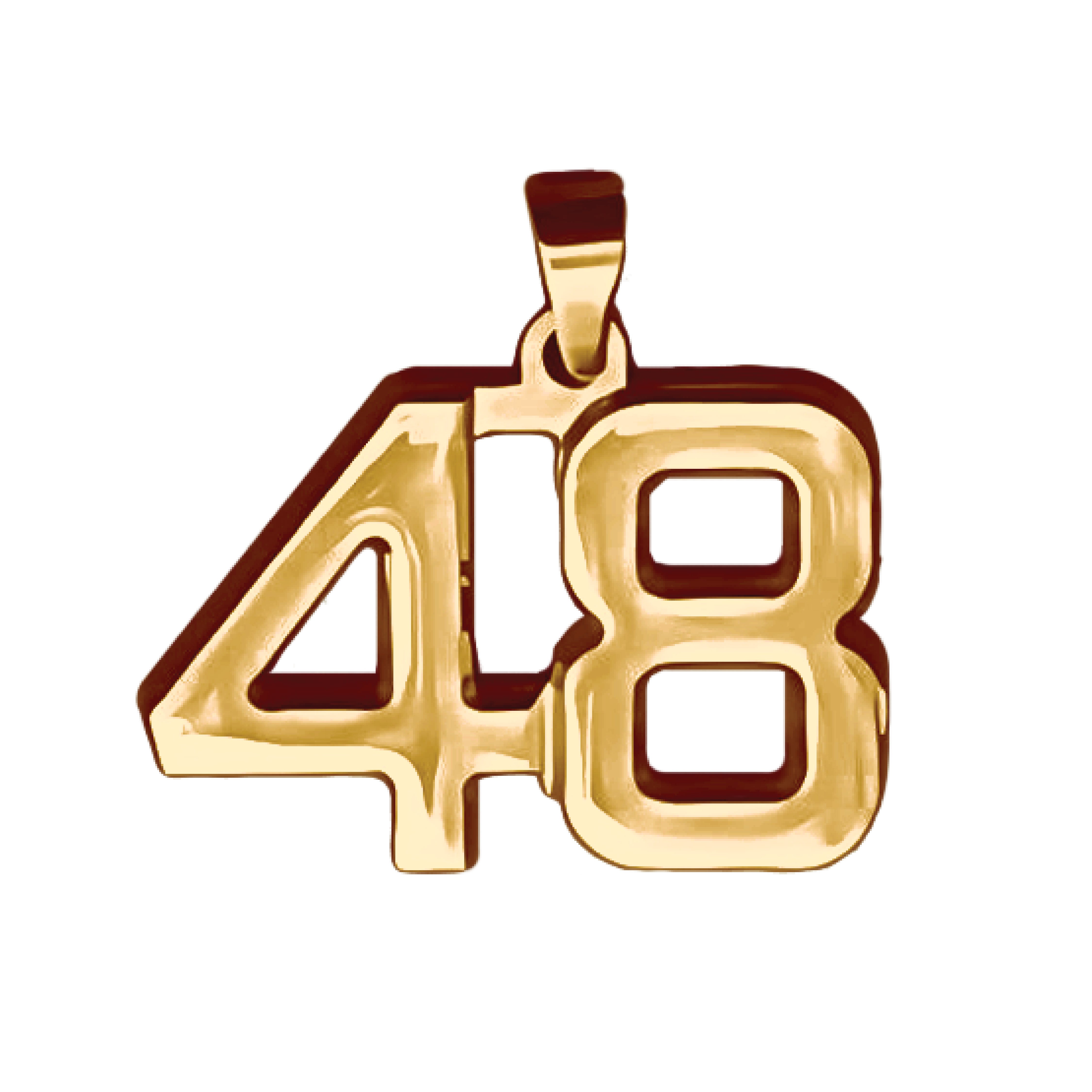 Pro Number Pendant Necklace - 14K Gold Plated Stainless Steel