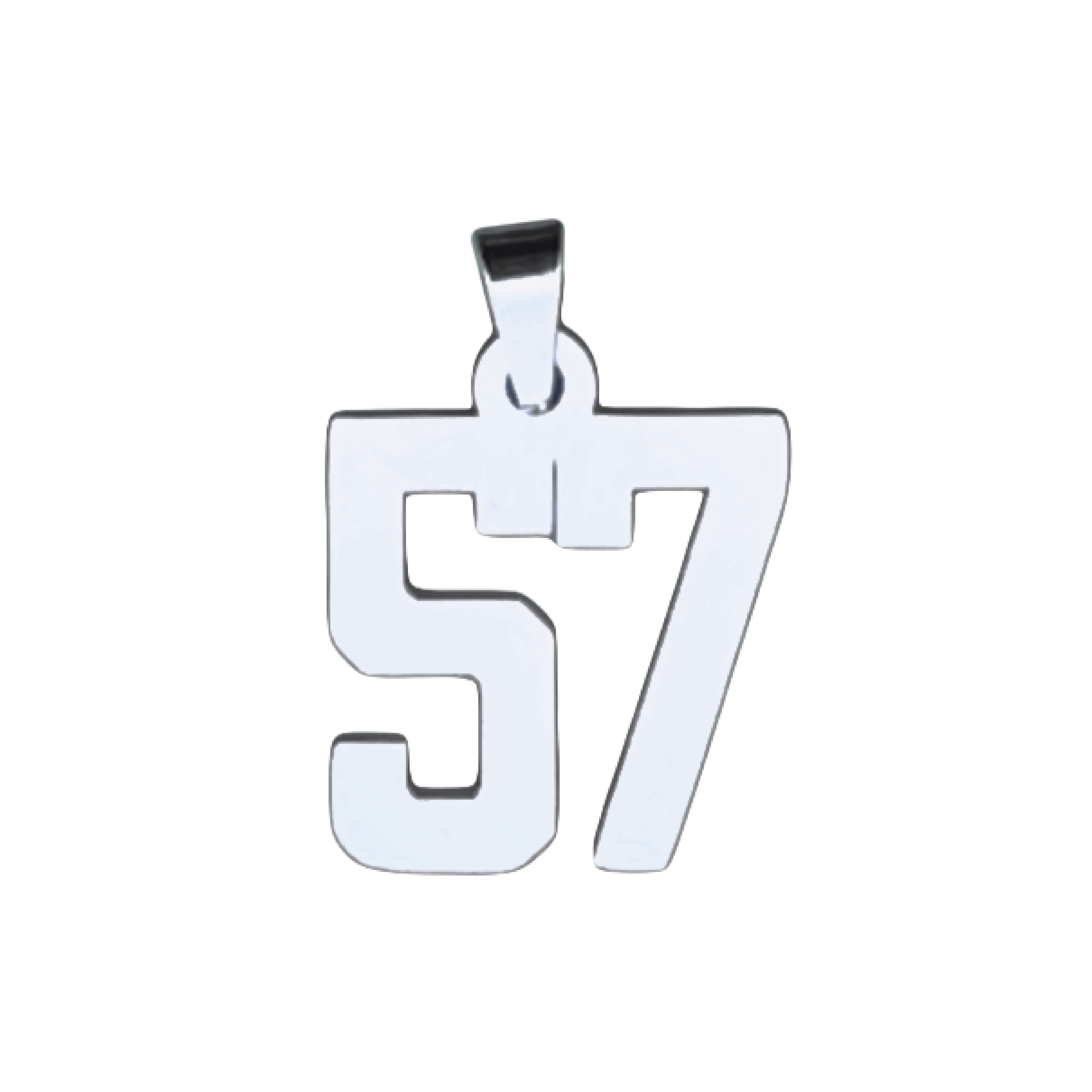 Custom Number Pendant Necklace - Stainless Steel