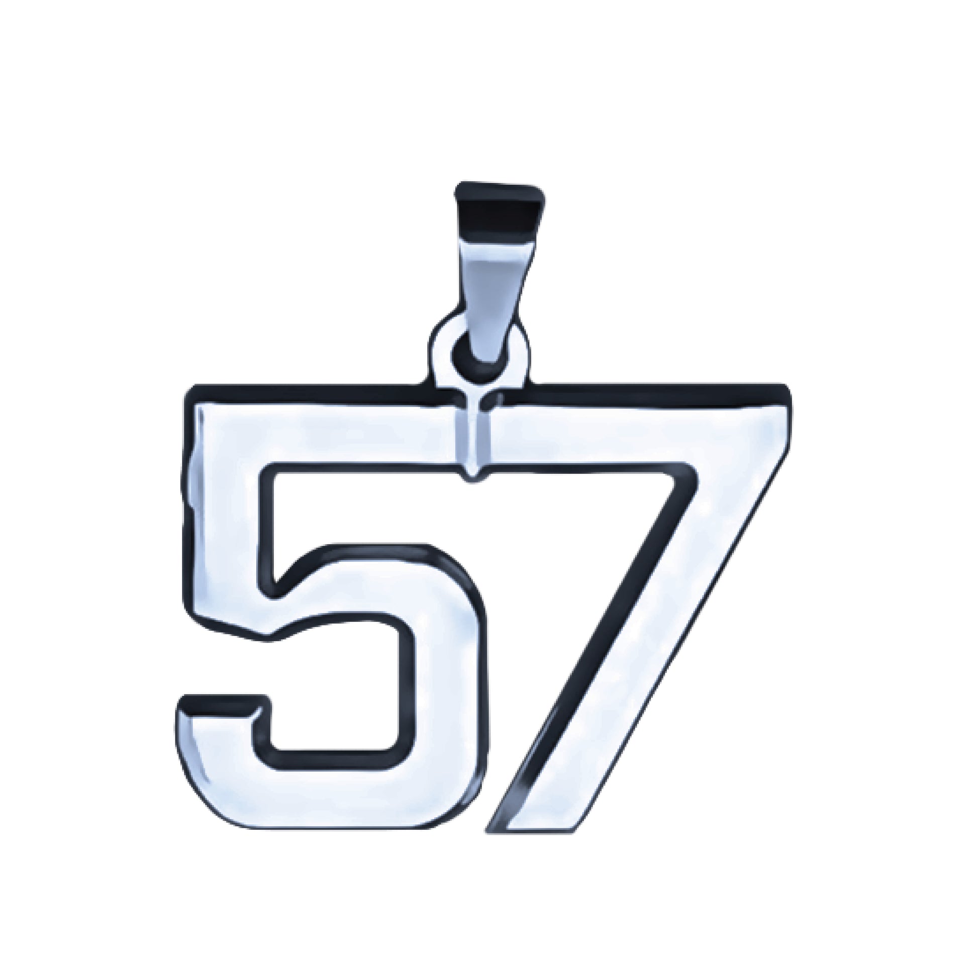 Pro Number Pendant - Stainless Steel