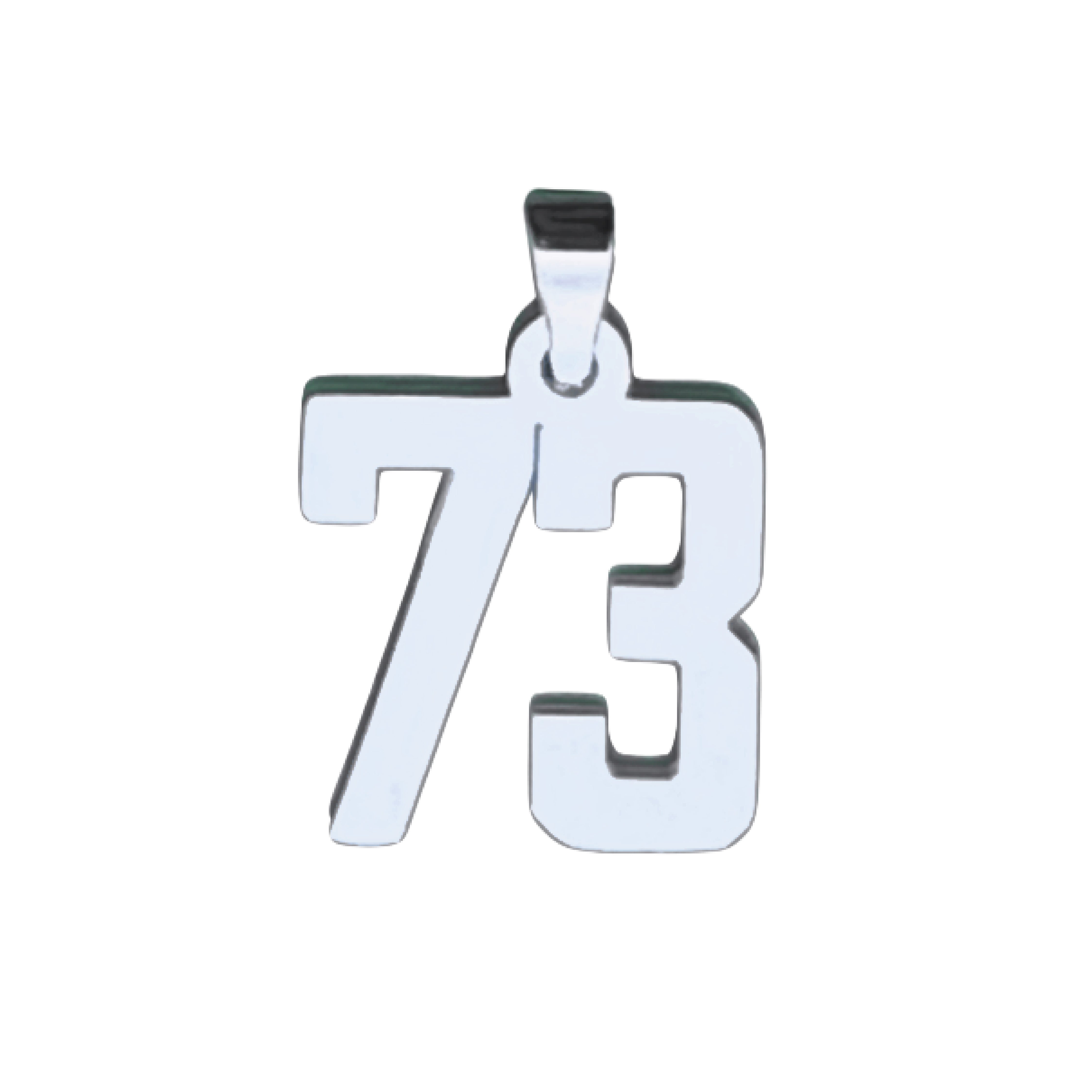 Custom Number Pendant Necklace - Stainless Steel