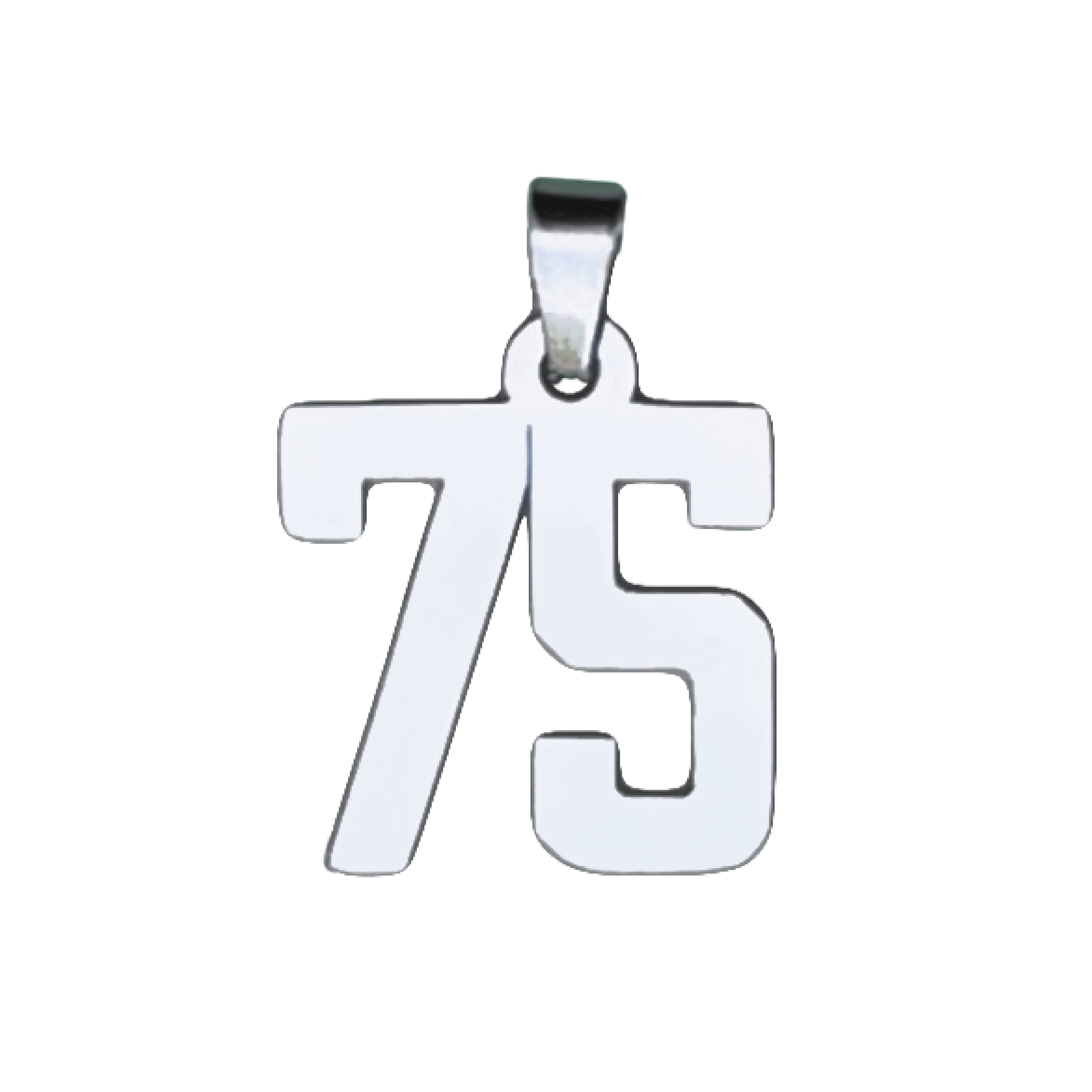 Custom Number Pendant Necklace - Stainless Steel