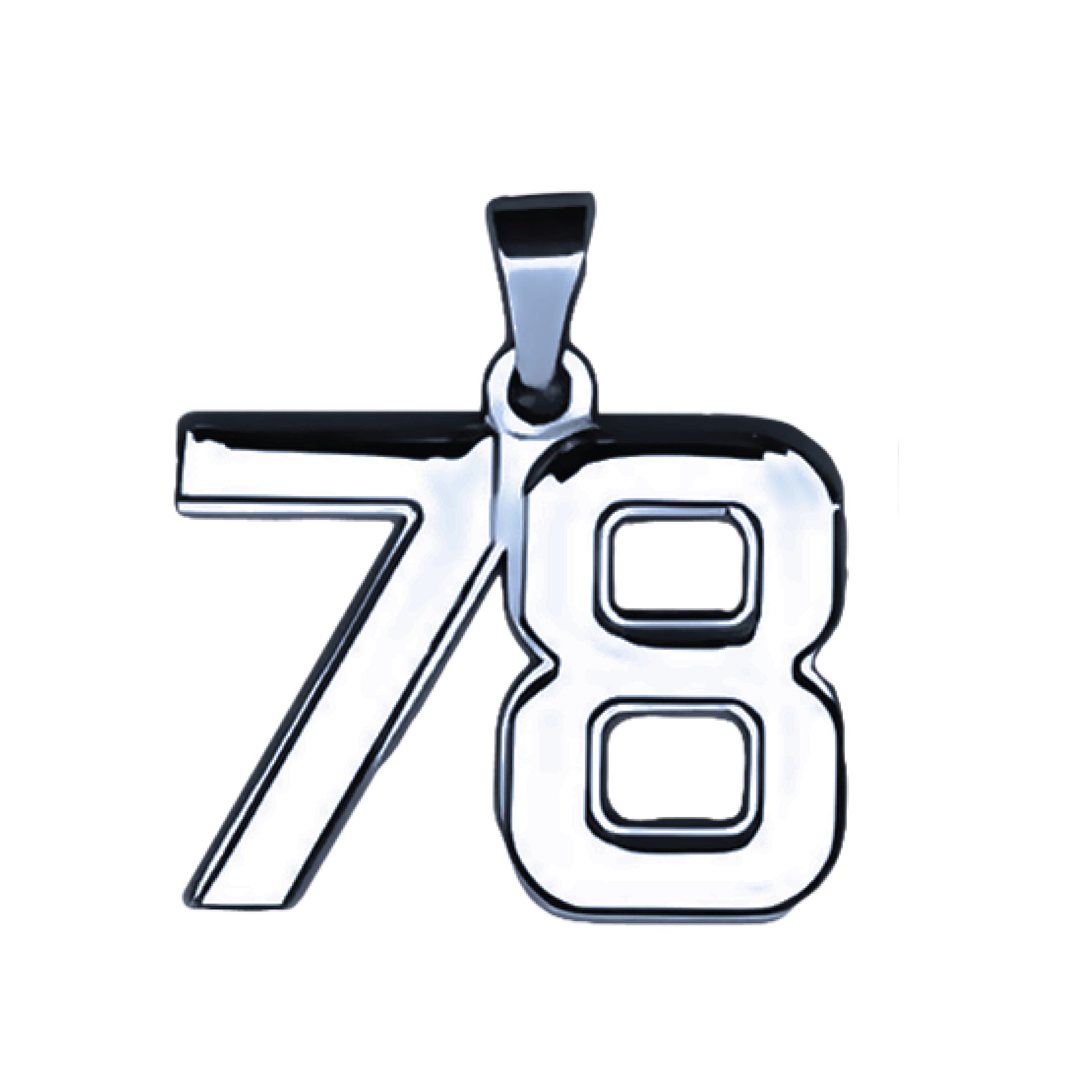 Pro Number Pendant - Stainless Steel
