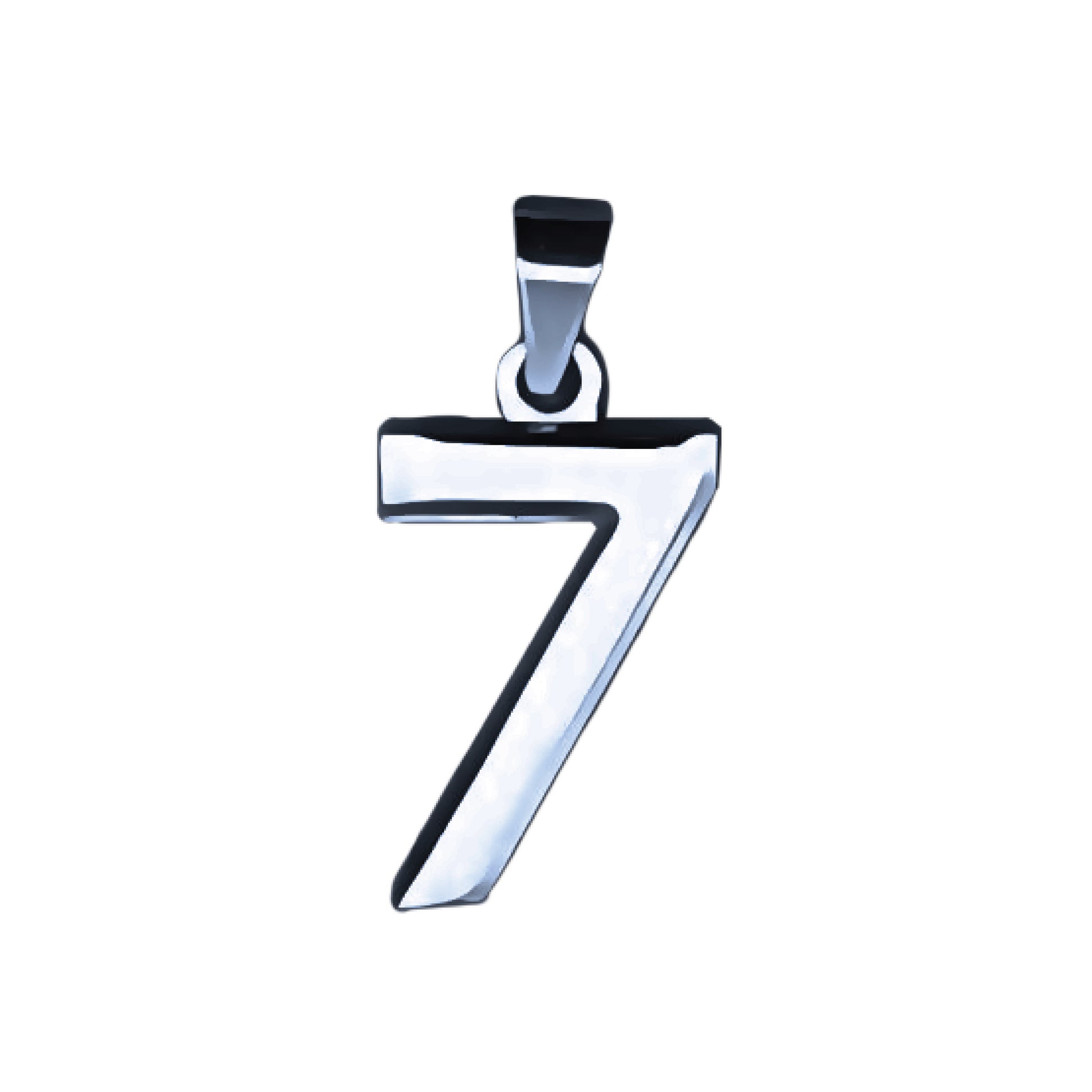 Pro Number Pendant - Stainless Steel