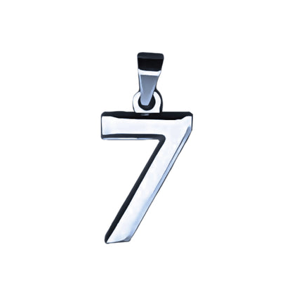 Pro Number Pendant - Stainless Steel