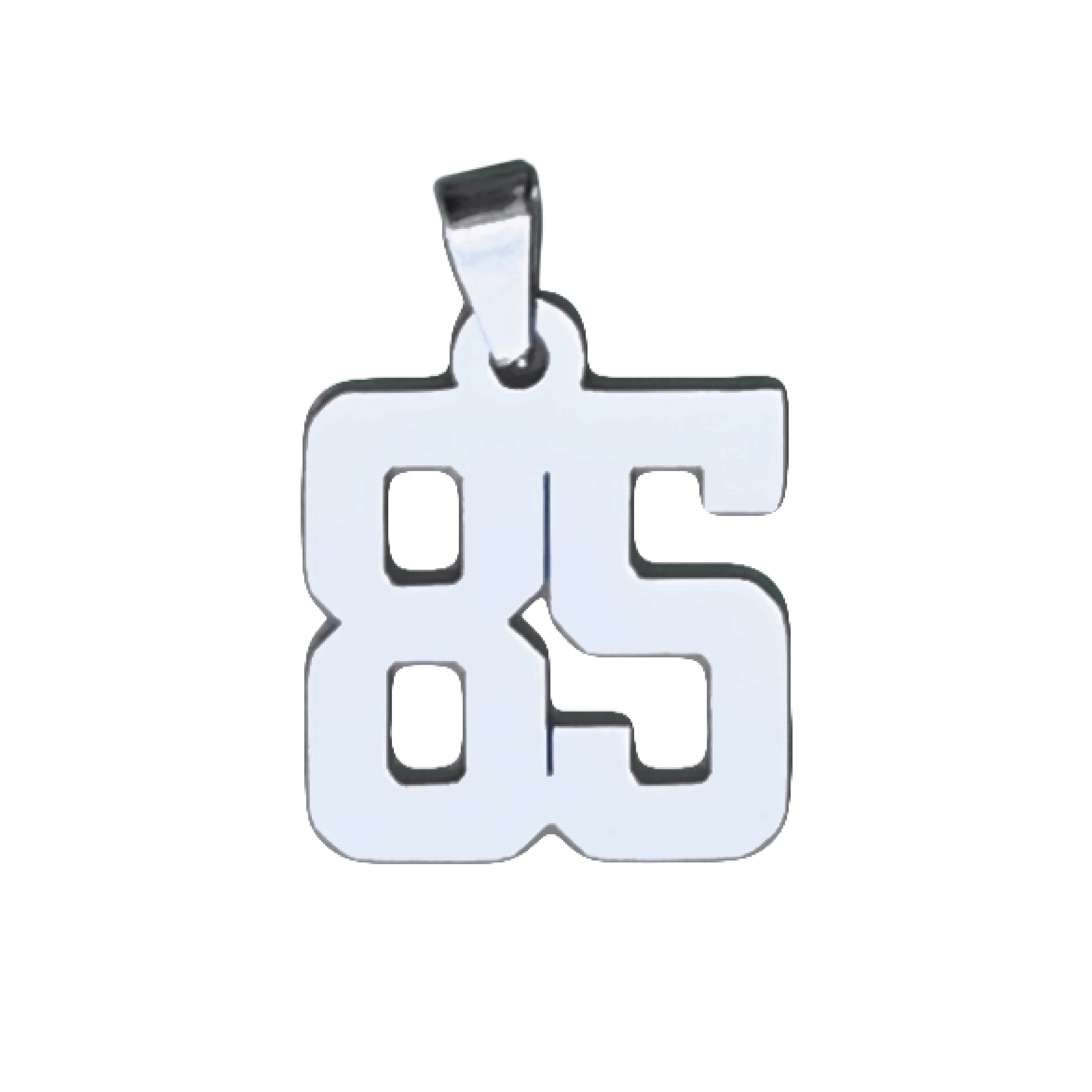 Custom Number Pendant Necklace - Stainless Steel